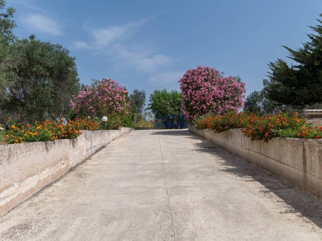 Antica masseria con piscina