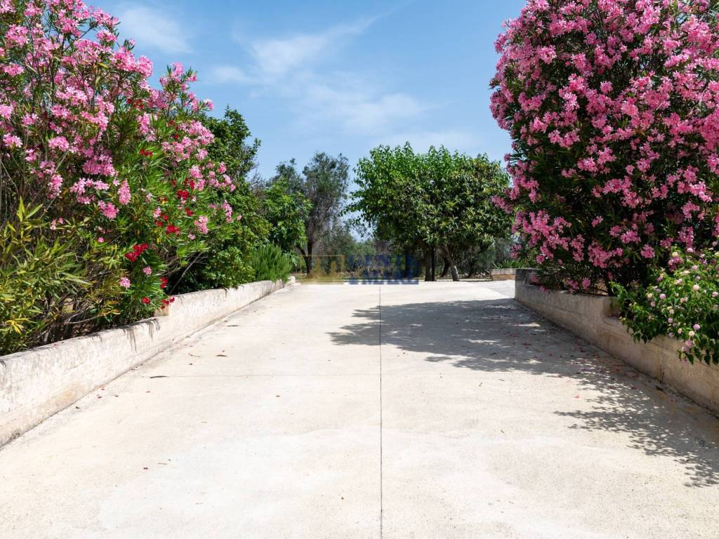 Antica masseria con piscina