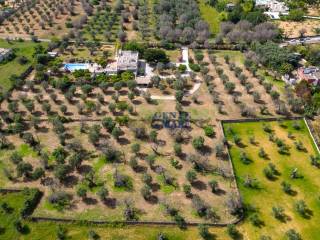 Antica masseria con piscina