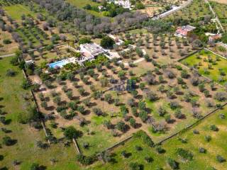 Antica masseria con piscina