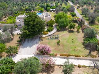 Antica masseria con piscina