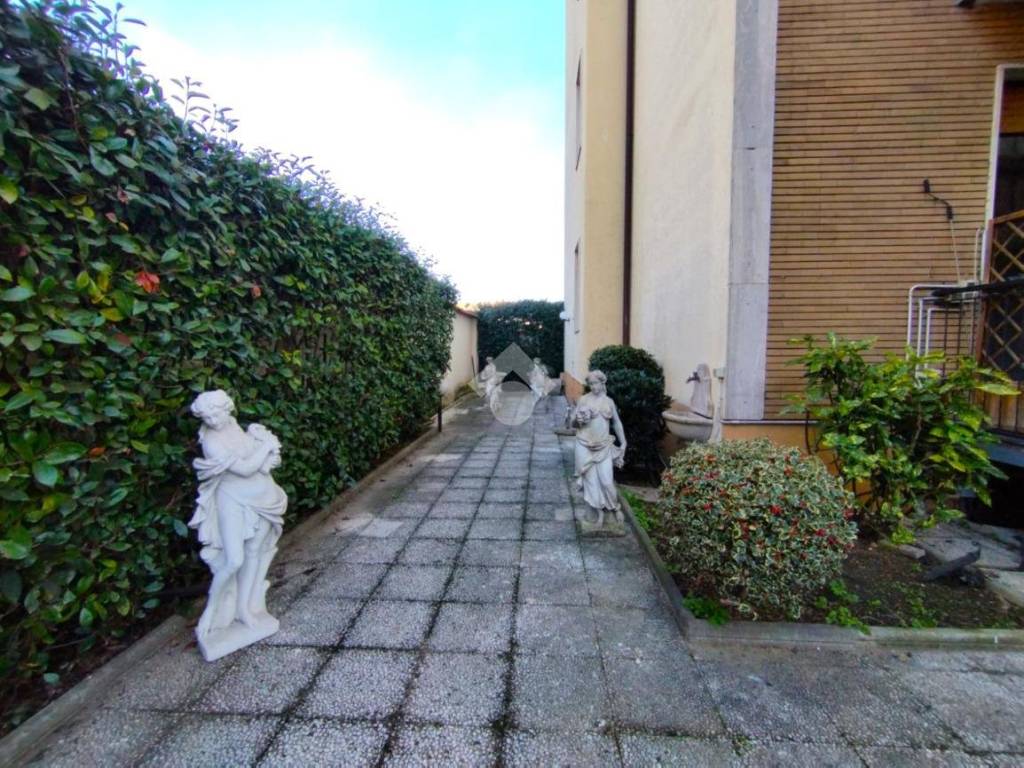 CORTILE