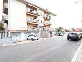 Zona