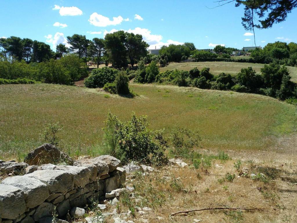 Terreno edificabile strada massafra zona f, martina franca