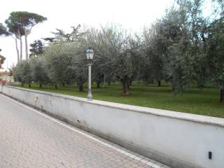 viale