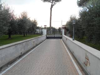 viale ingresso