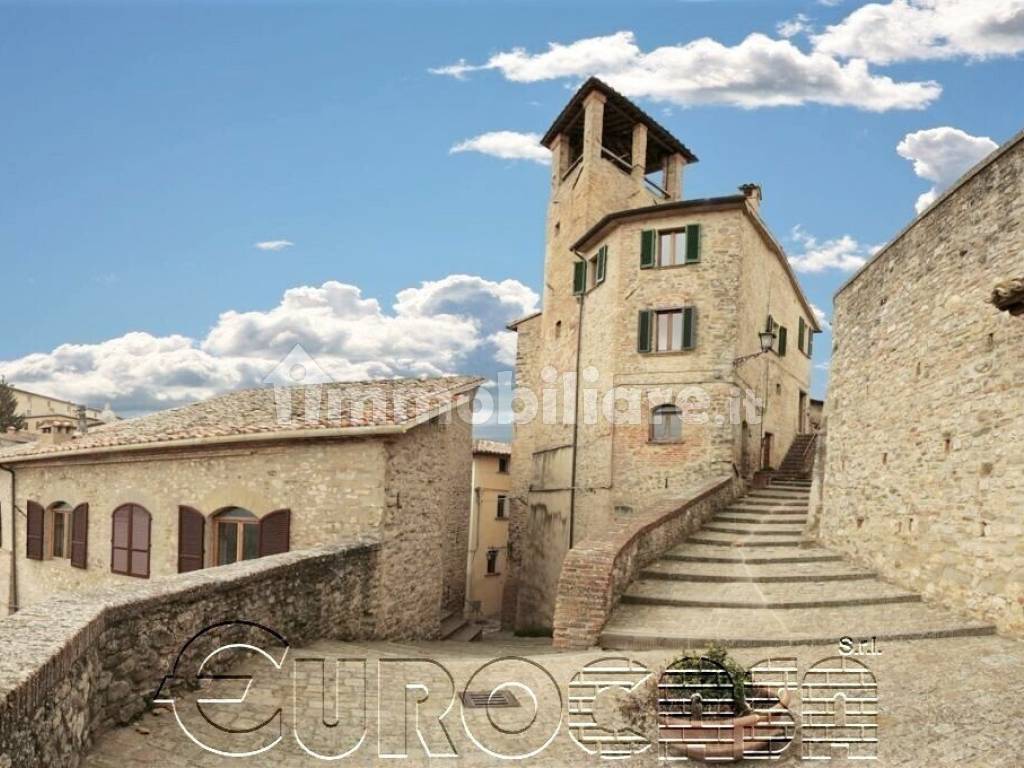 montone