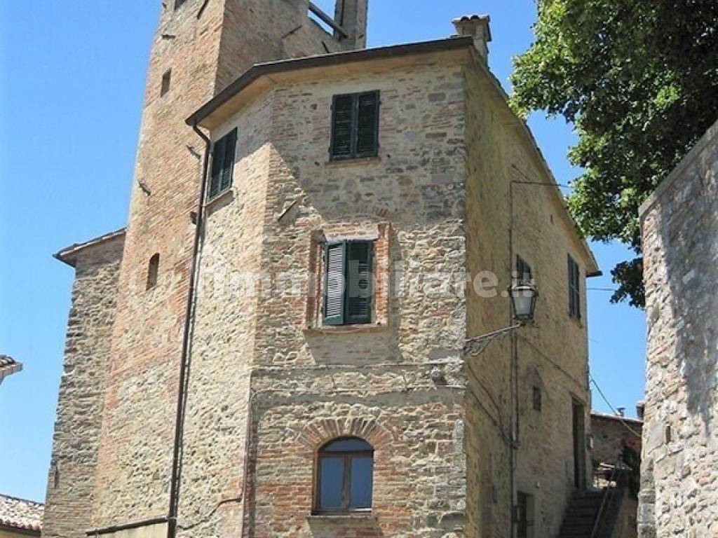 montone