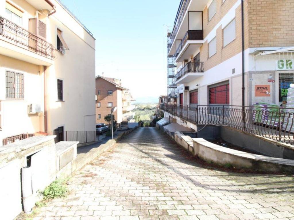 VIALE D'ACCESSO