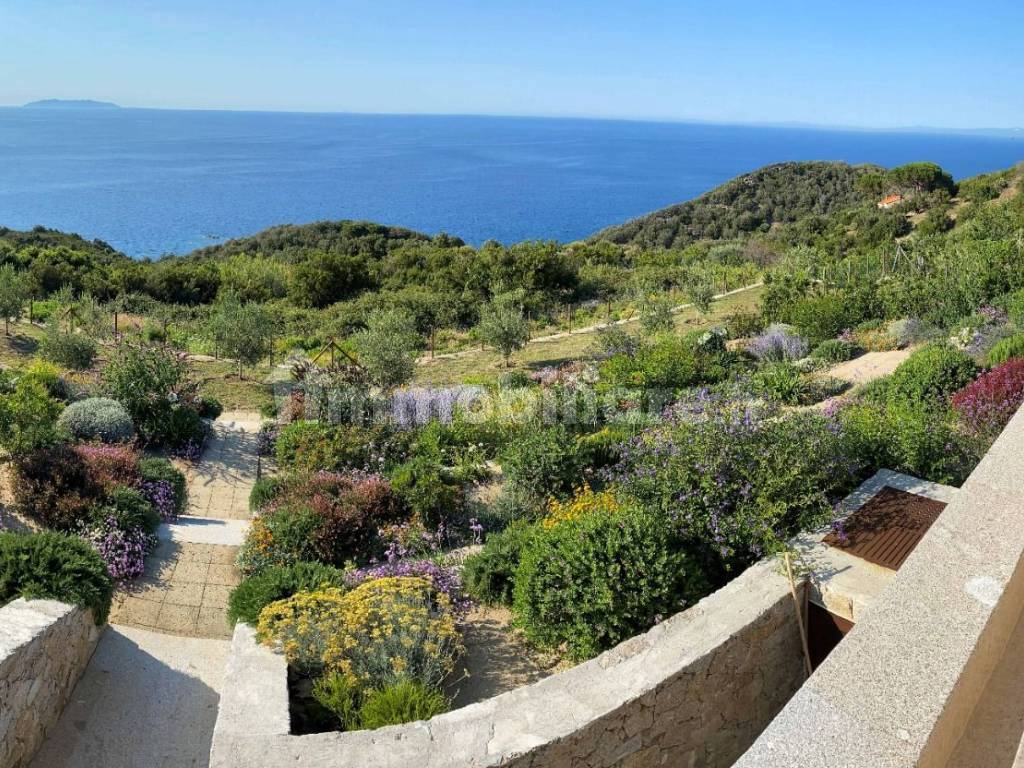 giardino visto dalla piscina