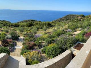 giardino visto dalla piscina