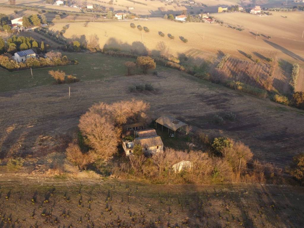 Vista