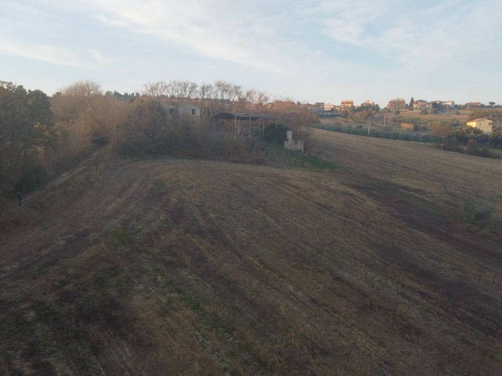 Terreno