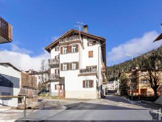 Foto - Vendita villa con giardino, Auronzo di Cadore, Lago di Auronzo