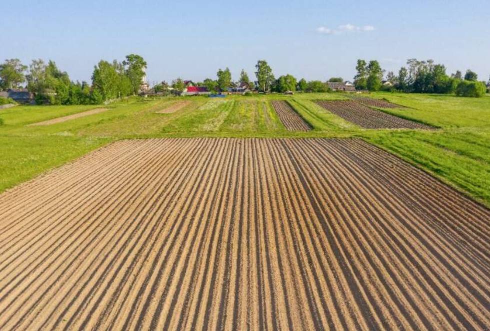 Terreno agricolo via borro barulli, san giovanni valdarno