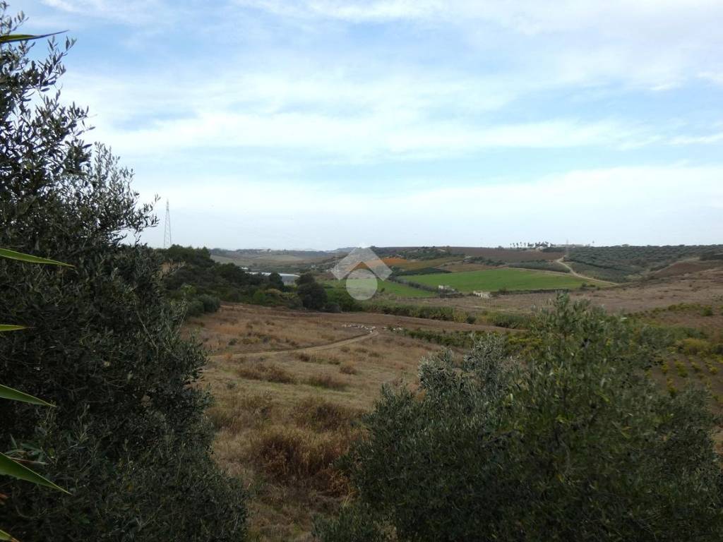 Terreno agricolo 4