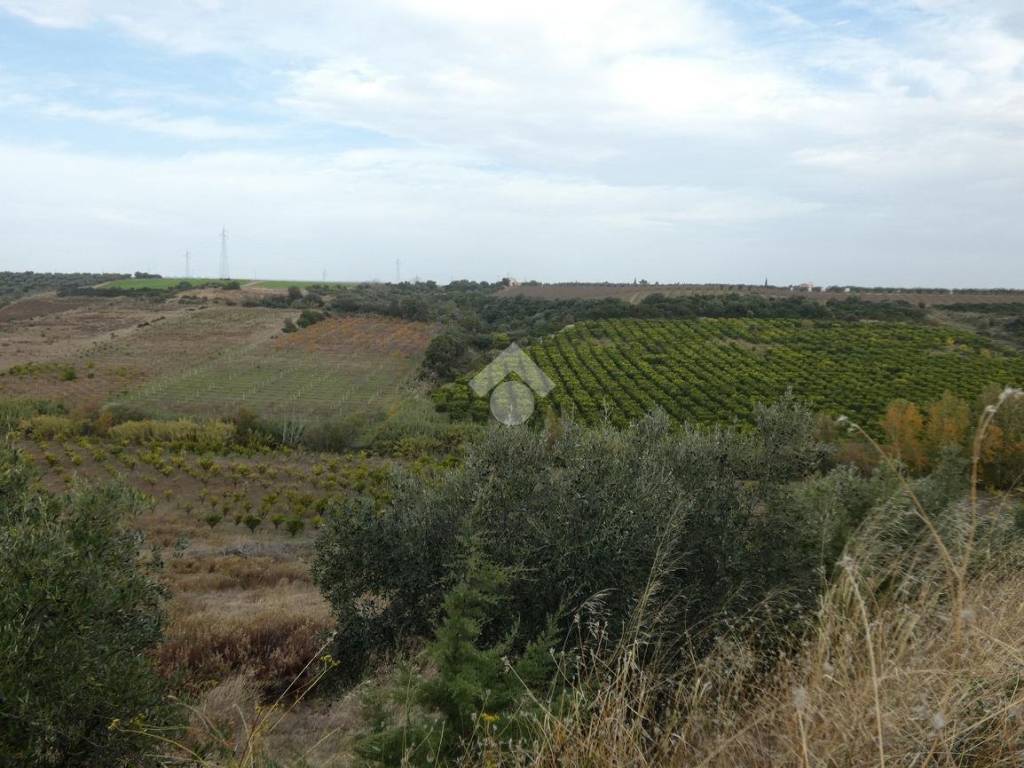 Terreno agricolo 5