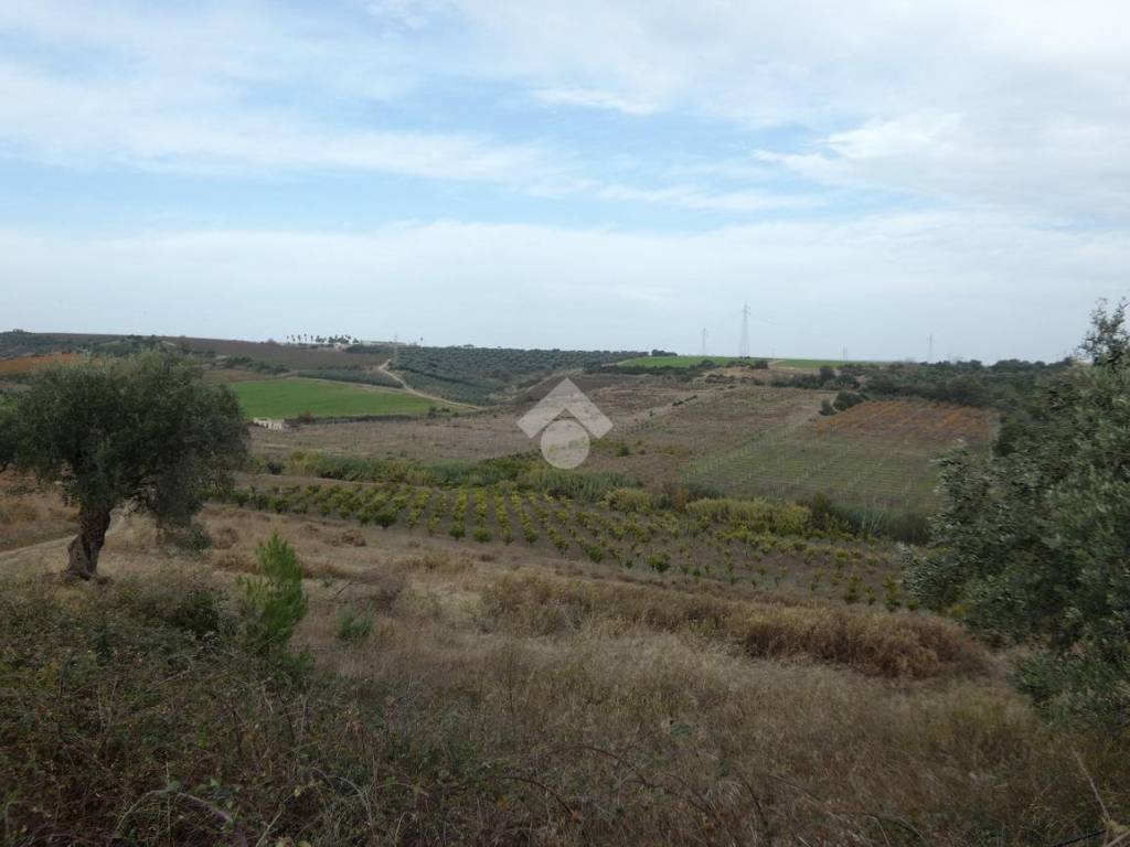 Terreno agricolo 7