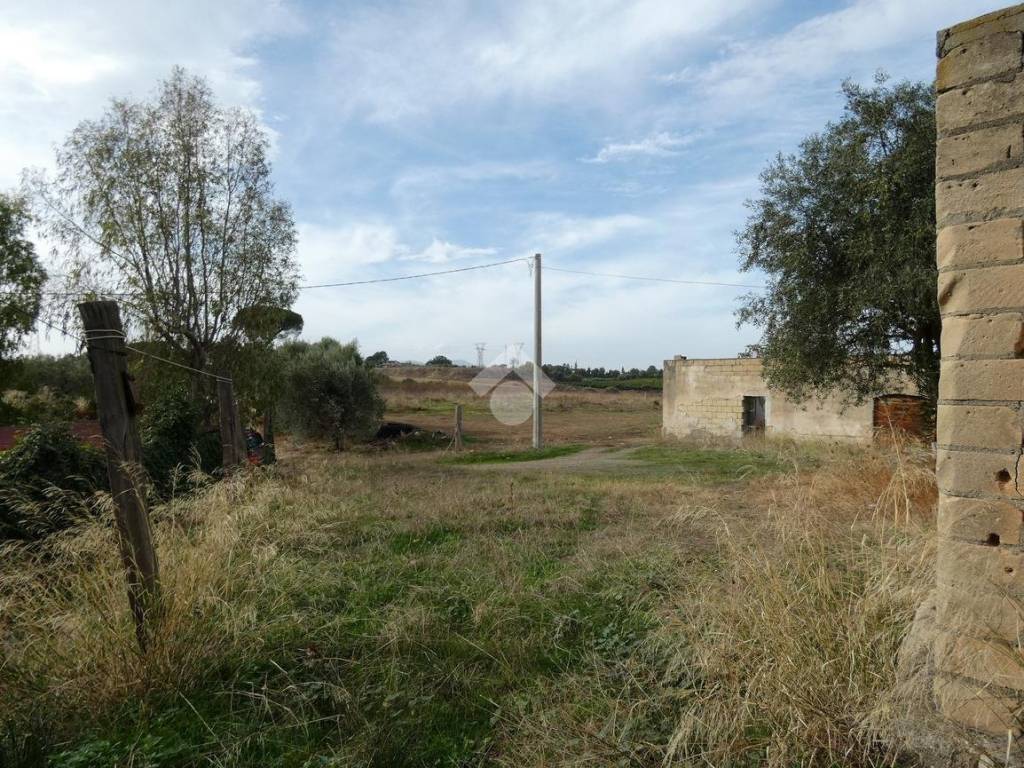 Terreno agricolo 8