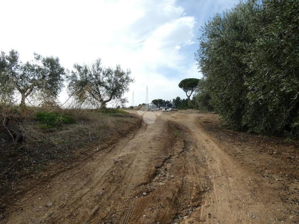 Strada accesso terreno 1