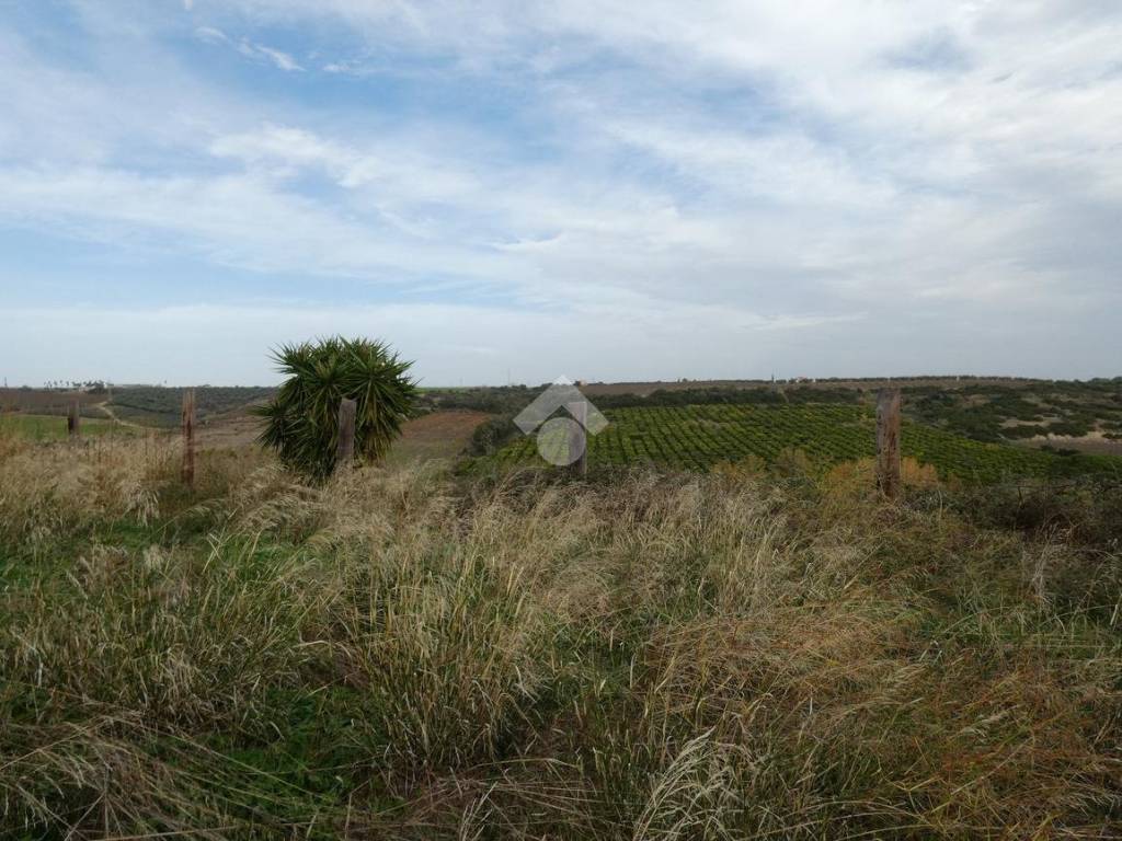 Terreno agricolo 10