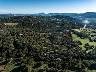 1280-12-terreno-agricolo-aratena-ec288.jpg