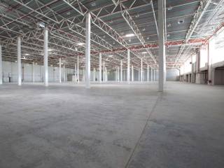 imm_49426-20240110105150-1024-.jpg