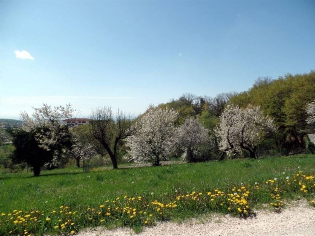 Terreno edificabile via roari, badia calavena