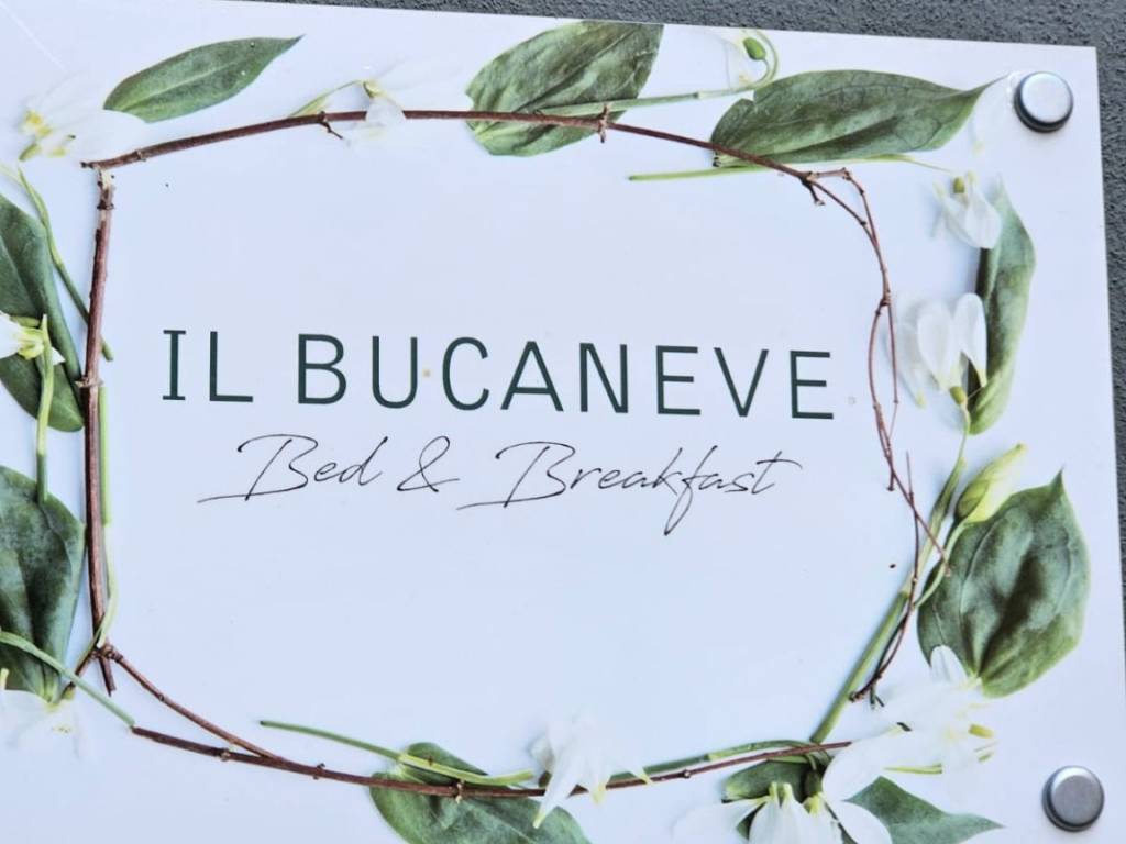 IL BUCANEVE