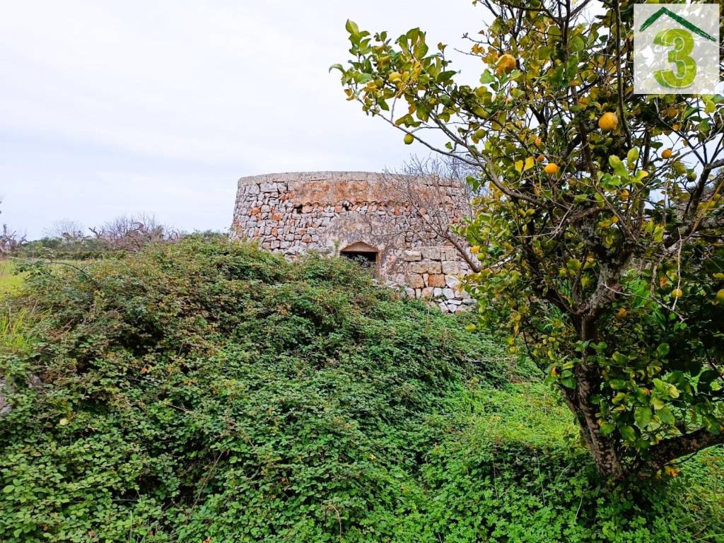 Terreno agricolo strada vicinale masseria simone, salve
