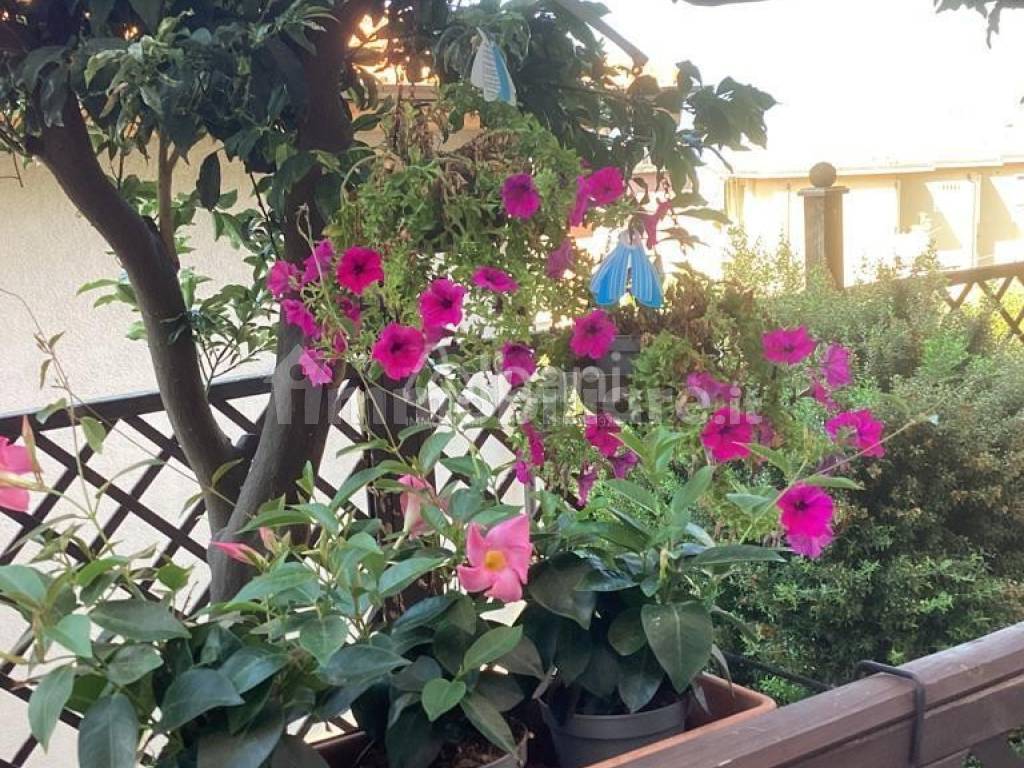 MA181_Lerici_appartamento_con_giardino (33).jpg