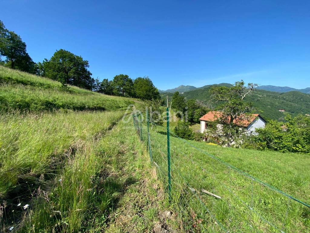 IN363_agriturismo_vendita_varese ligure_piscina_te