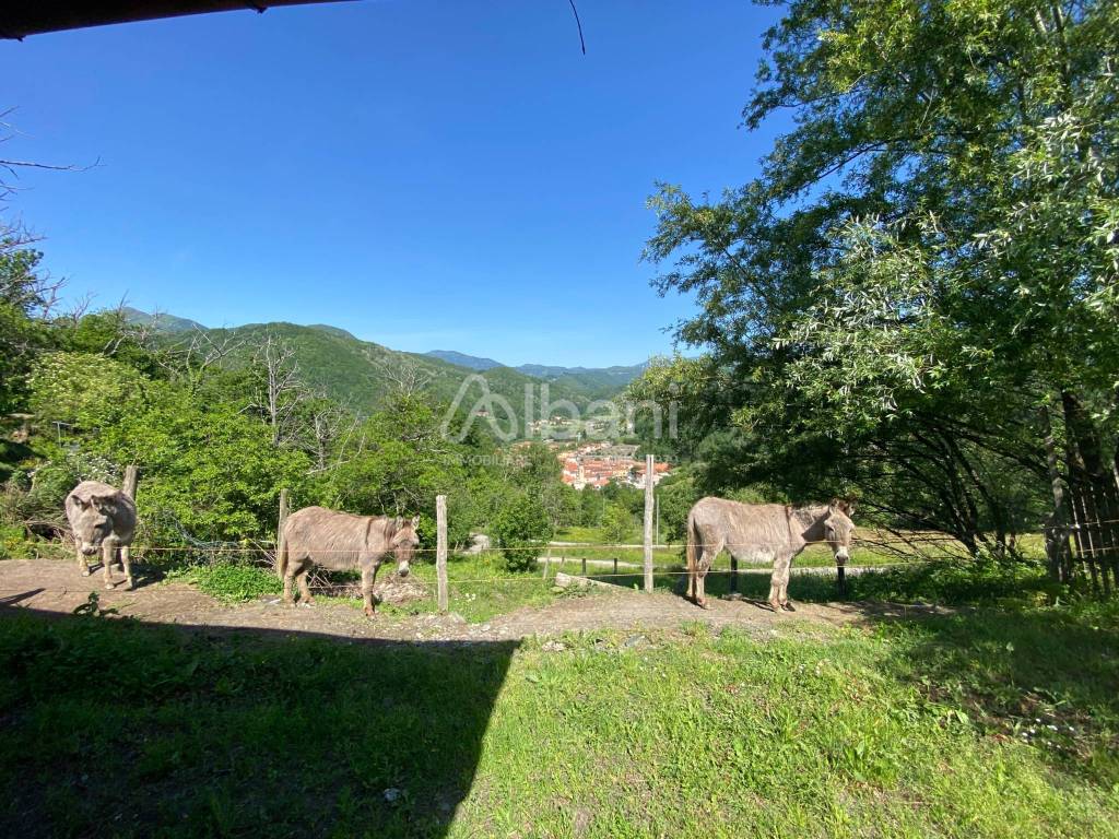 IN363_agriturismo_vendita_varese ligure_piscina_te