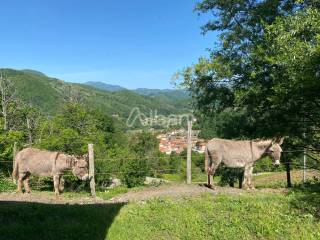 IN363_agriturismo_vendita_varese ligure_piscina_te