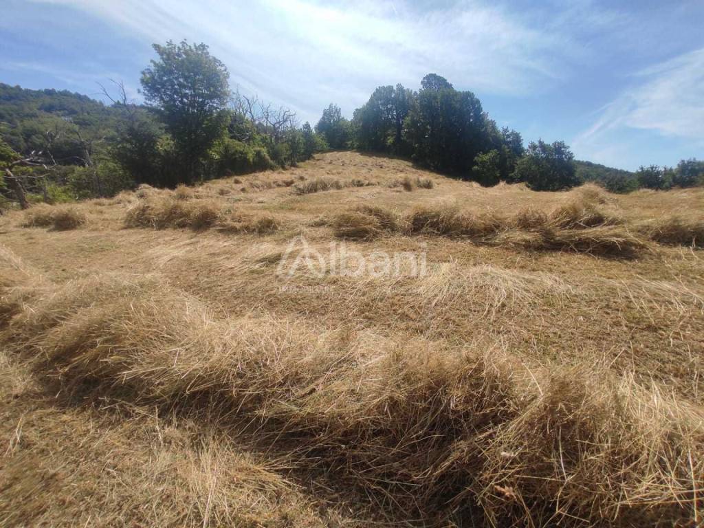 IN363_agriturismo_vendita_varese ligure_piscina_te