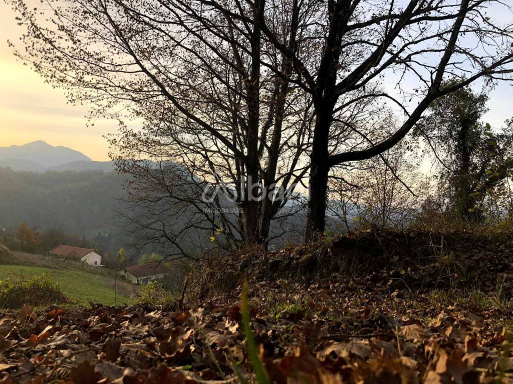 IN363_agriturismo_vendita_varese ligure_piscina_te