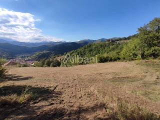 IN363_agriturismo_vendita_varese ligure_piscina_te