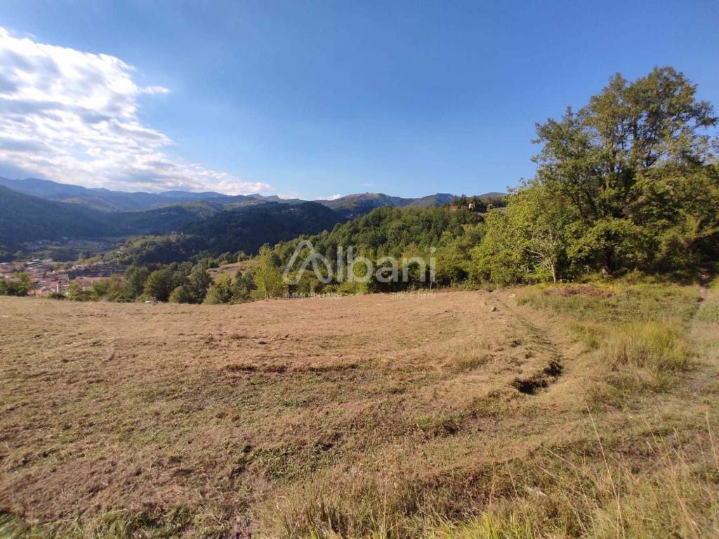 IN363_agriturismo_vendita_varese ligure_piscina_te