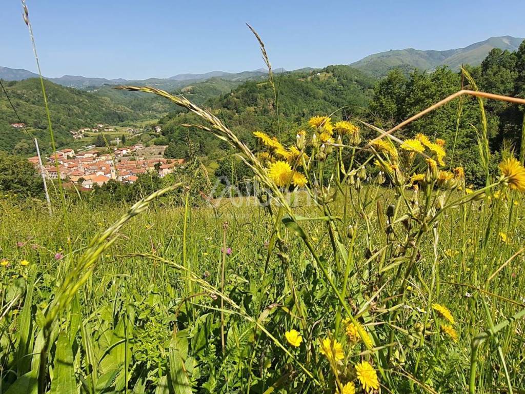 AC215_agriturismo_vendita_varese ligure_piscina_te