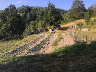 AC215_agriturismo_vendita_varese ligure_piscina_te