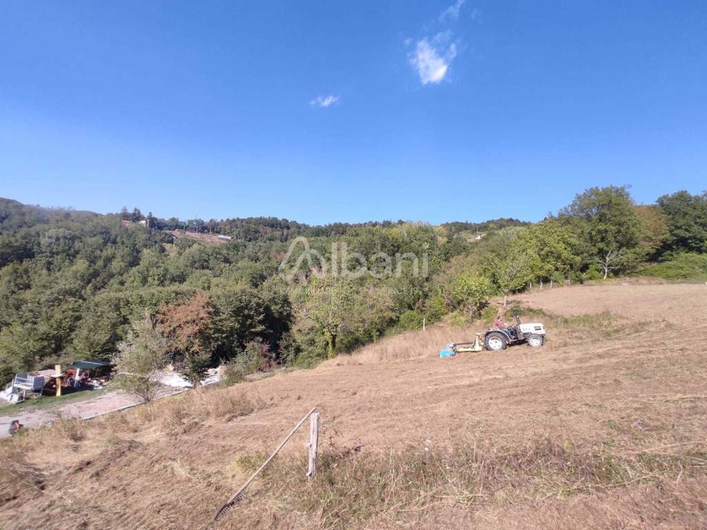 AC215_agriturismo_vendita_varese ligure_piscina_te