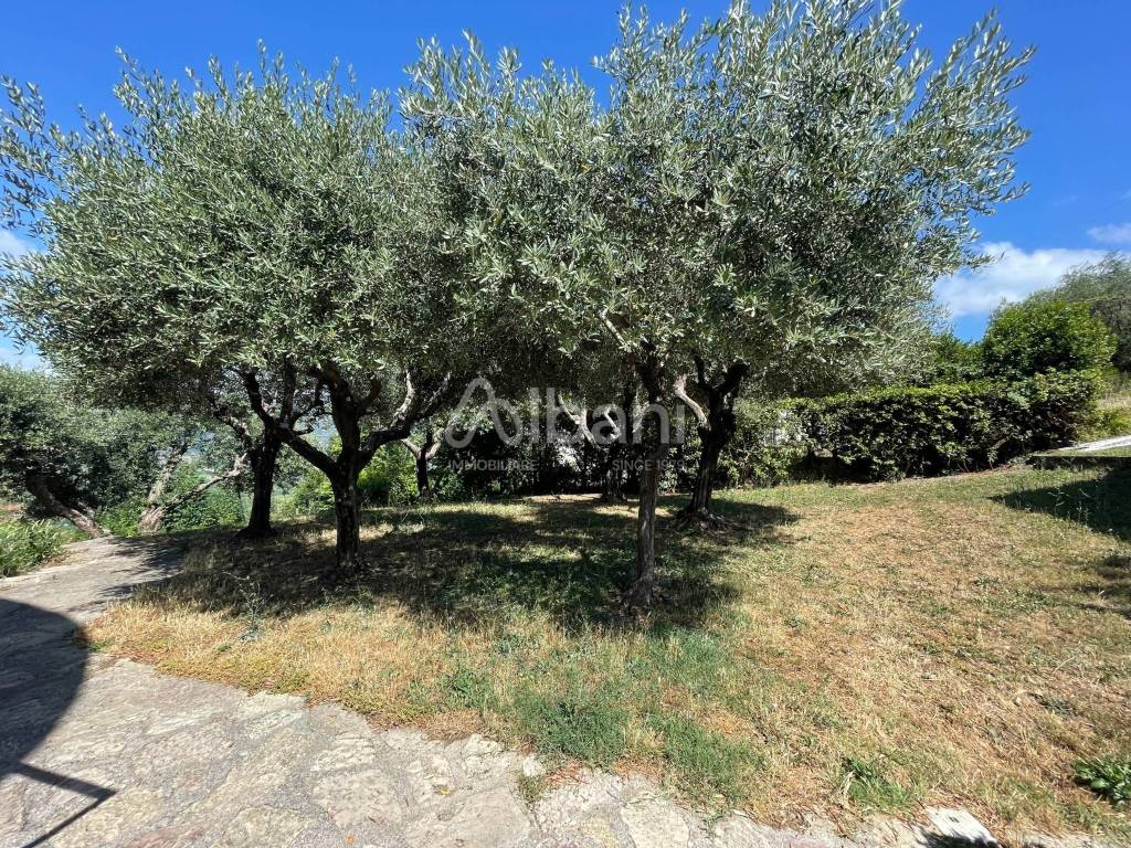 IN347_villa_indipendente_bifamiliare_con giardino 