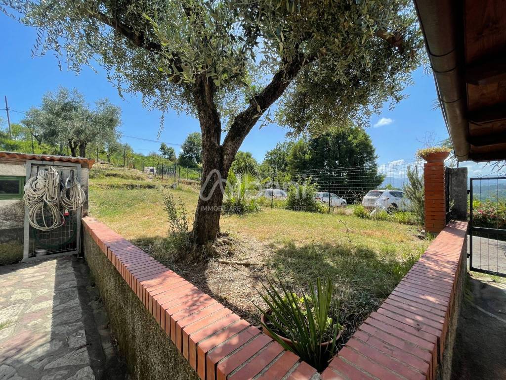 IN347_villa_indipendente_bifamiliare_con giardino 