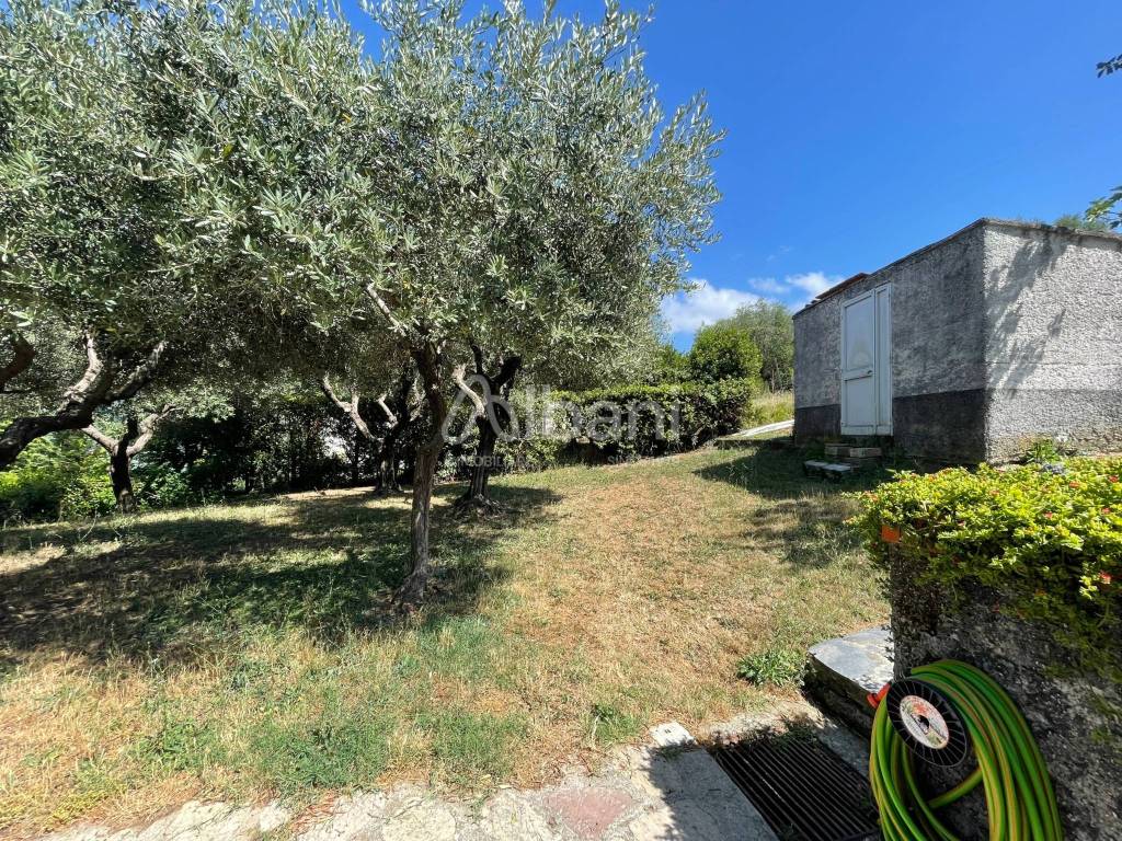 IN347_villa_indipendente_bifamiliare_con giardino 