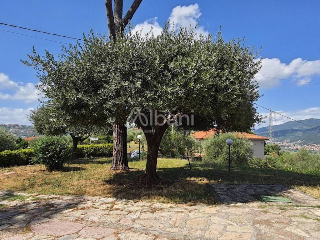 IN347_Villa-indipendente-bifamiliare-con giardino-