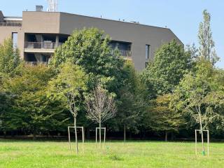 vista dal parco