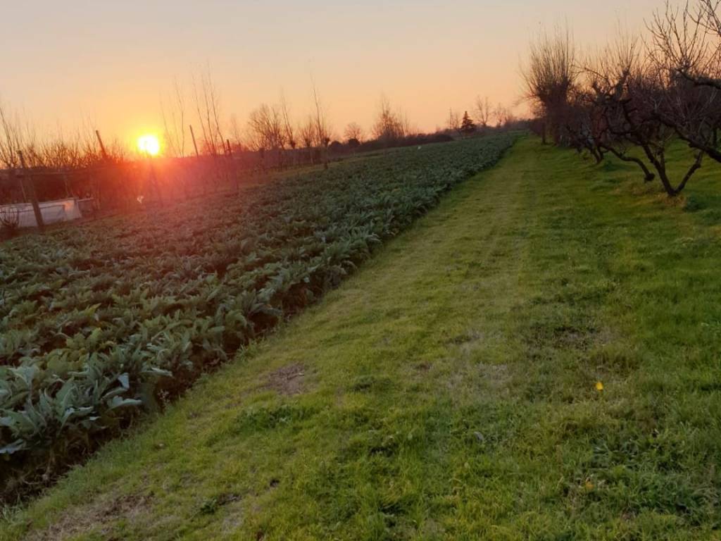 Terreno agricolo via roma, teverola