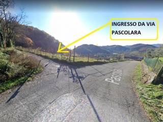 ingresso via