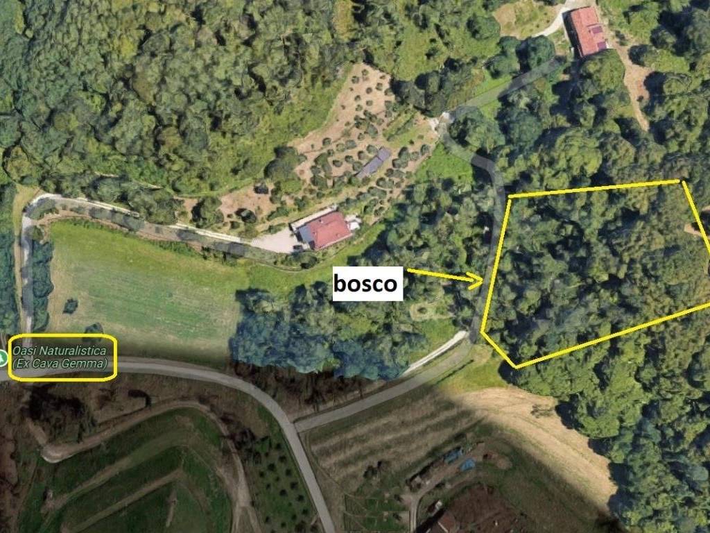 perimetro bosco