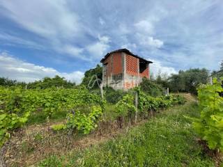 AR239_In vendita prime colline di Arcola Fresonara